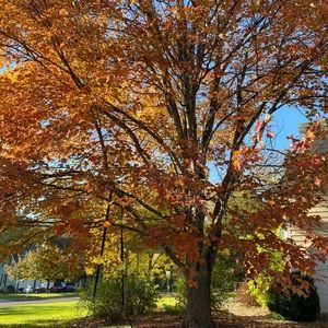 Meet your Posher, Brianne